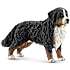 Schleich berner sennen hund