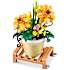 Max Build have planter - Cosmos Sulphureus