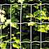 HORTUS havehegn 25 meter x 120 cm høj - galvaniseret