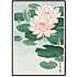 Water lilies, japansk - 30x40 cm