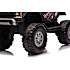 Ford Raptor F150 - Stor