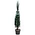 Enebær, Juniperus Blue Arrow, 32 cm potte