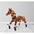 Push pony champ