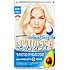 Blondering L+++ Bleach Maximum Lightener u. ammoniak