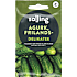 Salling frilands agurk, Delikatess, Cucumis Savitus L.
