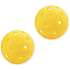 ASG Pickle Ball set