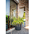 Like potte 58x51 cm&nbsp;med hjul - antracit