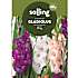 Salling blomsterløg Gladiolus Mix