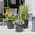 Artstone Bola potte 28x24 cm - sort