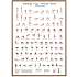 Yoga poses - 50x70 cm