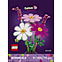 LEGO Botanicals Stolt kavaler-blomster 11514