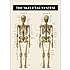Skelettet 2 - 50x70 cm