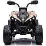 Can Am Renegade ATV