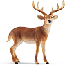 Schleich 14818 whitetail-hjort