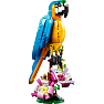 LEGO Creator 3-i-1 Eksotisk papegøje 31136