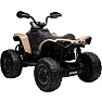Can Am Renegade ATV