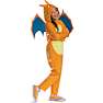 Pokémon Charizard kostume