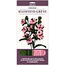 1conzept piberenserblomst - blomstergren