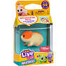 Little Live Pets NeeDees - flere varianter - assorteret