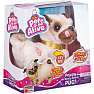 Pets Alive Dansende Pug