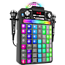 iDance Party Groove X2 Bluetooth karaoke højttaler