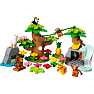 LEGO® DUPLO® Sydamerikas vilde dyr 10973