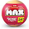 Max Bricks rose