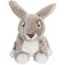 Krammebamse, kanin
