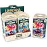 Lorcana Archazia’s Island startpakke- flere varianter - assorteret