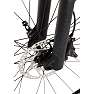 SCO Rebel XT 29" Carbon MTB 48 cm 12 udvendige gear 2021 Mountainbike