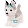 Pucci Pups husky hund bamse 20 cm