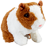 Happy Pets marsvin