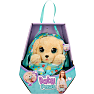 Baby paws labrador bamse 
