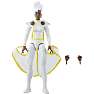 Marvel Legends Series Storm