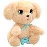 Baby paws labrador bamse 