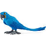 Schleich hyacintara 14859