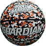 Guardian street basketbold
