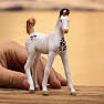 Schleich marwari-føl 14896