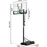 Salta Basketball stander center