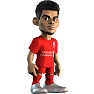 Minix Luis Diaz Liverpool
