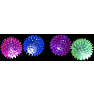 Spikey Light Up bold