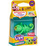 Little Live Pets NeeDees - flere varianter - assorteret
