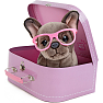 StudioPets plys Shady