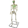 Halloween skelet med LED
