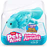 Pets Alive Swimming Axolotls – flere varianter - assorteret