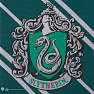 Slips Slytherin Voksen