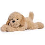 FAO Schwarz Cockapoo bamse 38 cm