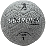 Guardian håndbold
