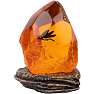 Jurassic Park ravlampe