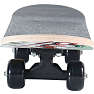 SpinOut skateboard